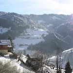 Apartmán Muehlbach Alpendomizil Ii