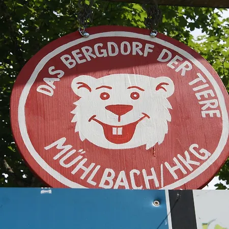 Muehlbach Alpendomizil Ii Mühlbach am Hochkönig