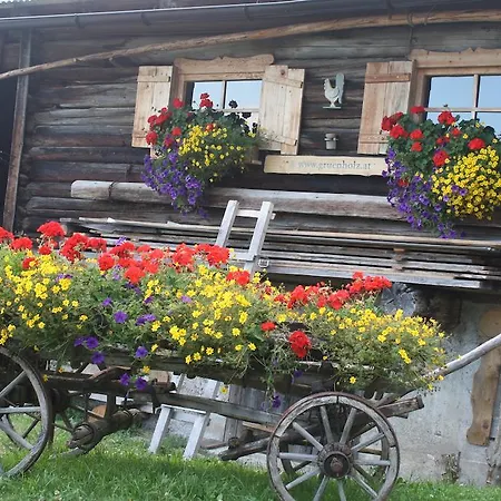 Muehlbach Alpendomizil Ii * Mühlbach am Hochkönig