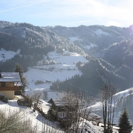 Appartement Muehlbach Alpendomizil Ii