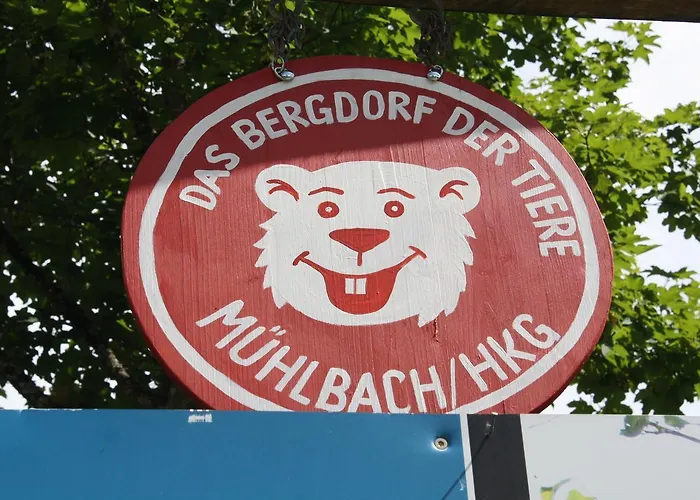Muehlbach Alpendomizil Ii Mühlbach am Hochkönig