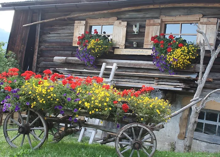 Muehlbach Alpendomizil Ii * Mühlbach am Hochkönig